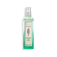 Verbene Karottenblüte Eau de Toilette