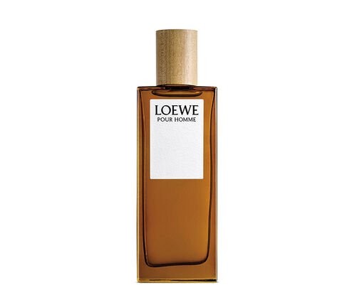 LOEWE Loewe Pour Homme Eau de Toilette Herrenduft